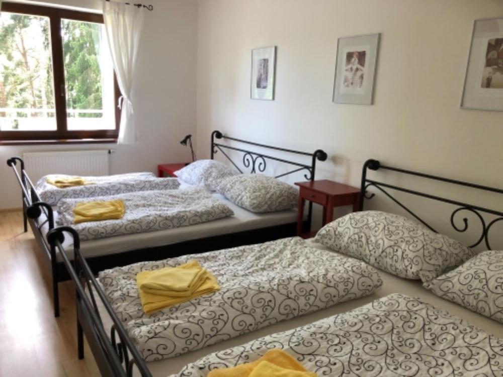 Apartmany Lipno Boucek Ліпно-над-Влтавою Екстер'єр фото